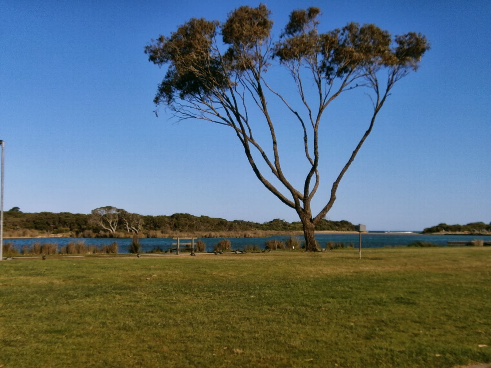 Combien Y A T Il De Plage En Australie Road Trip en Australie: Great Ocean Road part 1