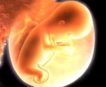 Uriart-Baby: Bebê se mexendo dentro da barriga...Por Samantha Sileman