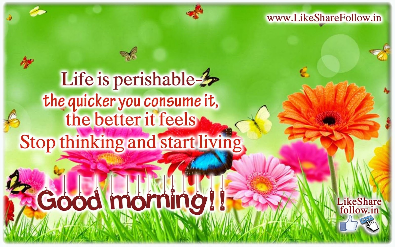 Best Good morning messages - Good morning pictures wallpapers ...