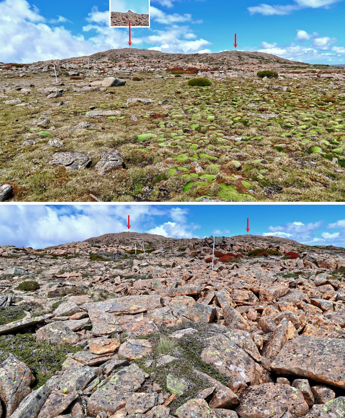 Mountains Legges Tor & Giblin Peak & Jacobs Ladder, Tas, Australia
