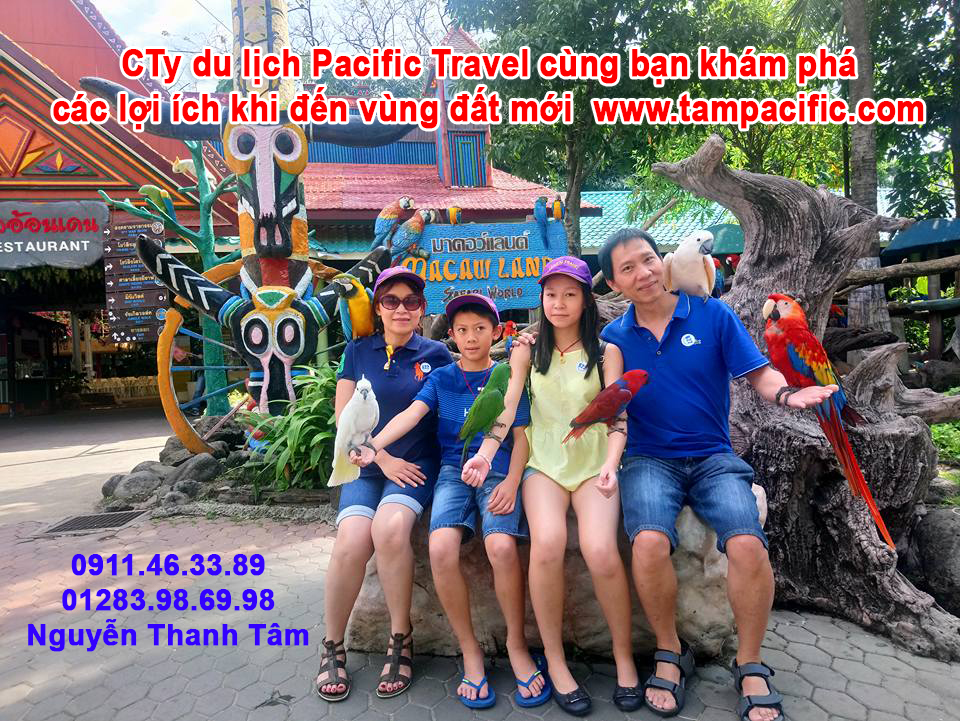 CTy du lịch Pacific Travel cùng bạn khám phá các lợi ích khi đến vùng đất mới CTy du lịch Pacific Travel cùng bạn khám phá các lợi ích khi đến vùng đất mới