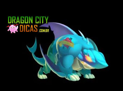 Dragão Cityshark Dragão Cityshark