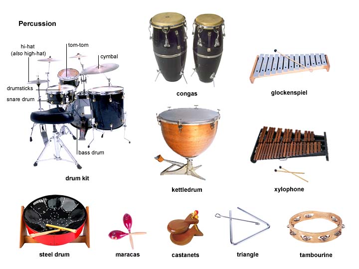 91+ Gambar Alat Musik Conga Paling Keren 91+ Gambar Alat Musik Conga Paling Keren