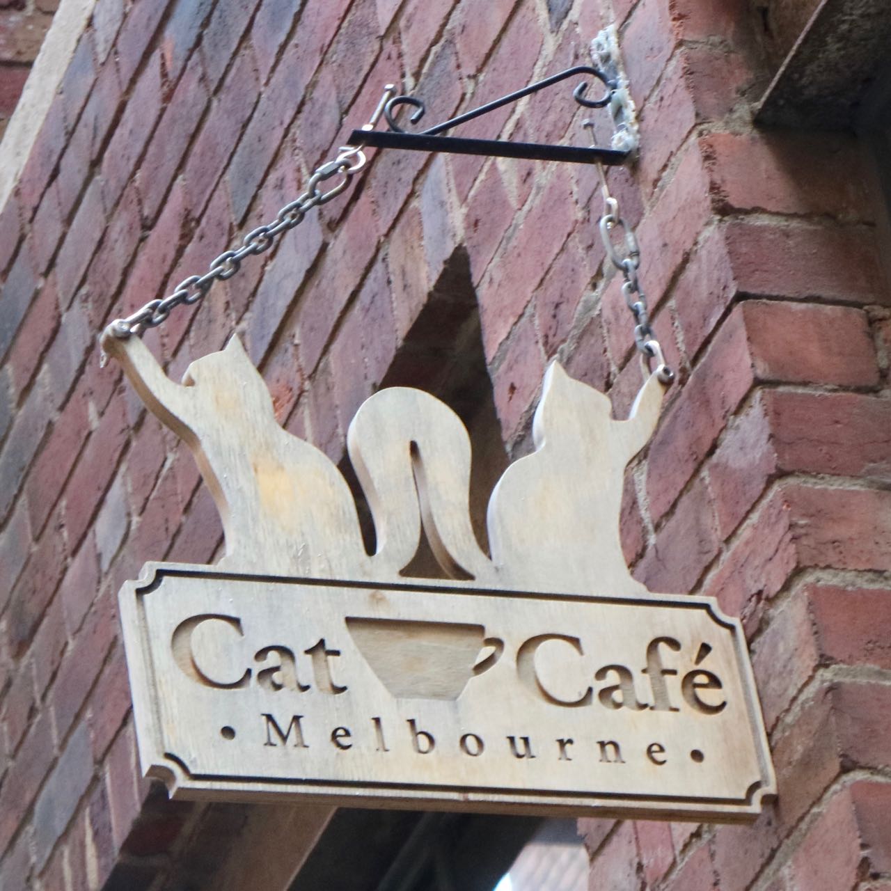 Green Gourmet Giraffe Cat Cafe, Melbourne CBD