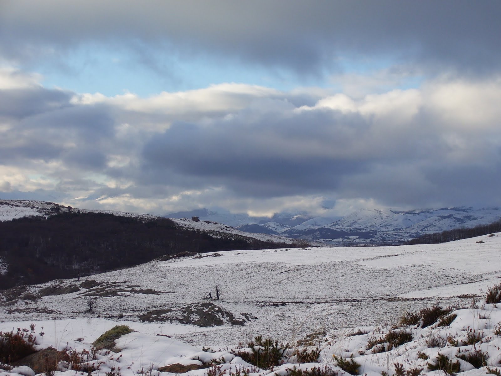Bar Hijedo Alfoz de Santa Gadea