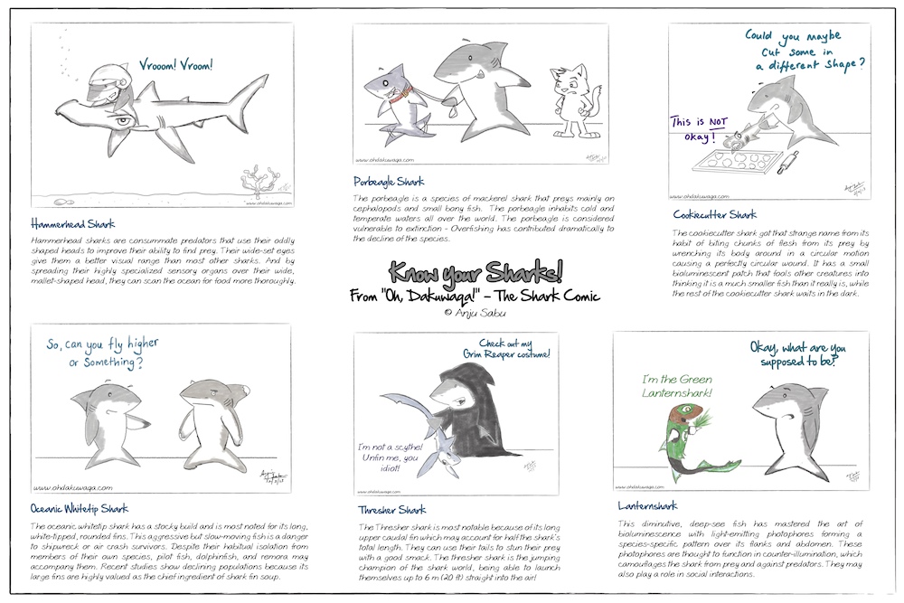 "Oh, Dakuwaqa!" The Shark comics and cartoons Facts about sharks