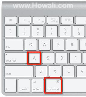 Place the insertion point