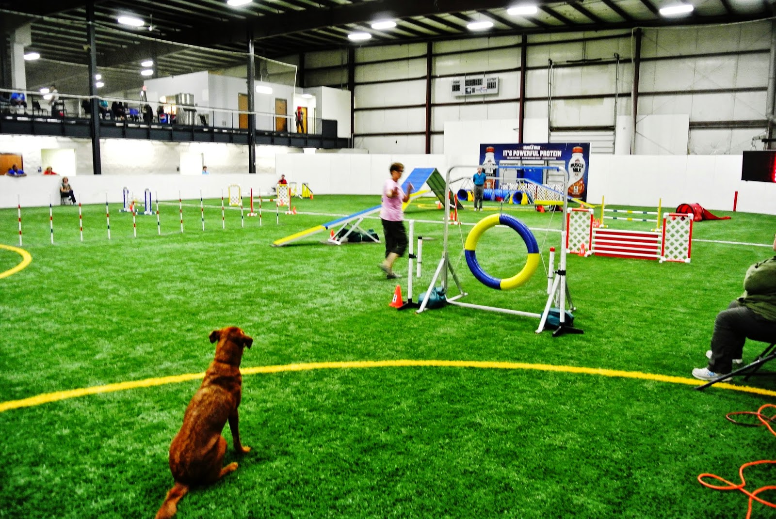 Big Times Kennel March 2015