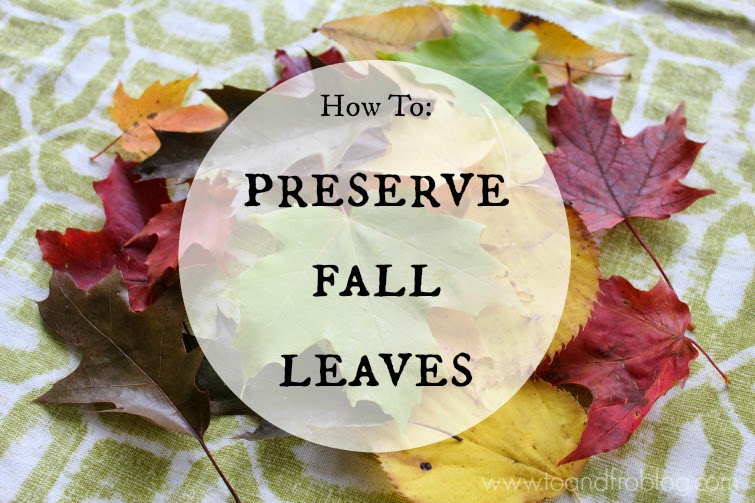 How To Preserve Fall Leaves