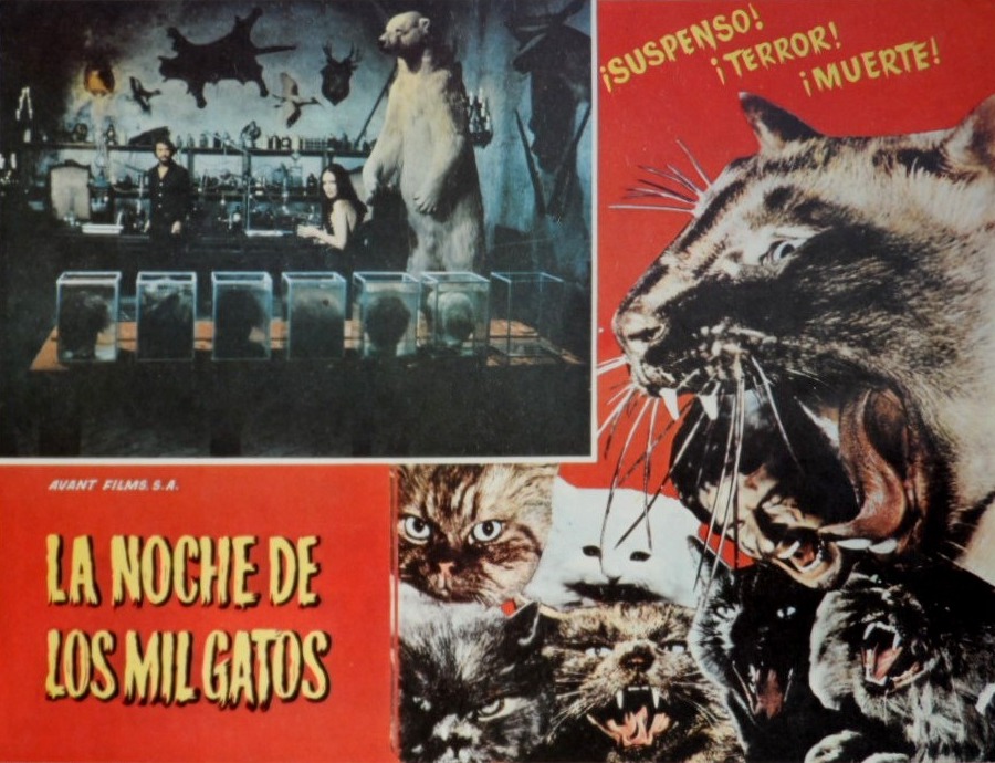 Todo El Terror Del Mundo La Noche de los Mil Gatos (Night of a