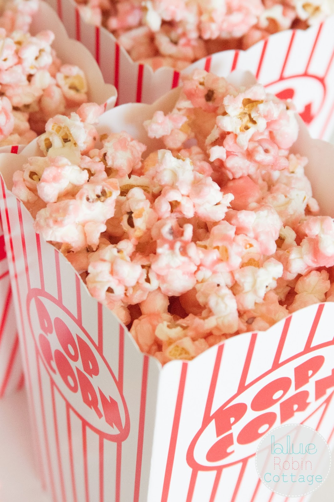 Blue Robin Cottage Old Fashioned Pink Popcorn