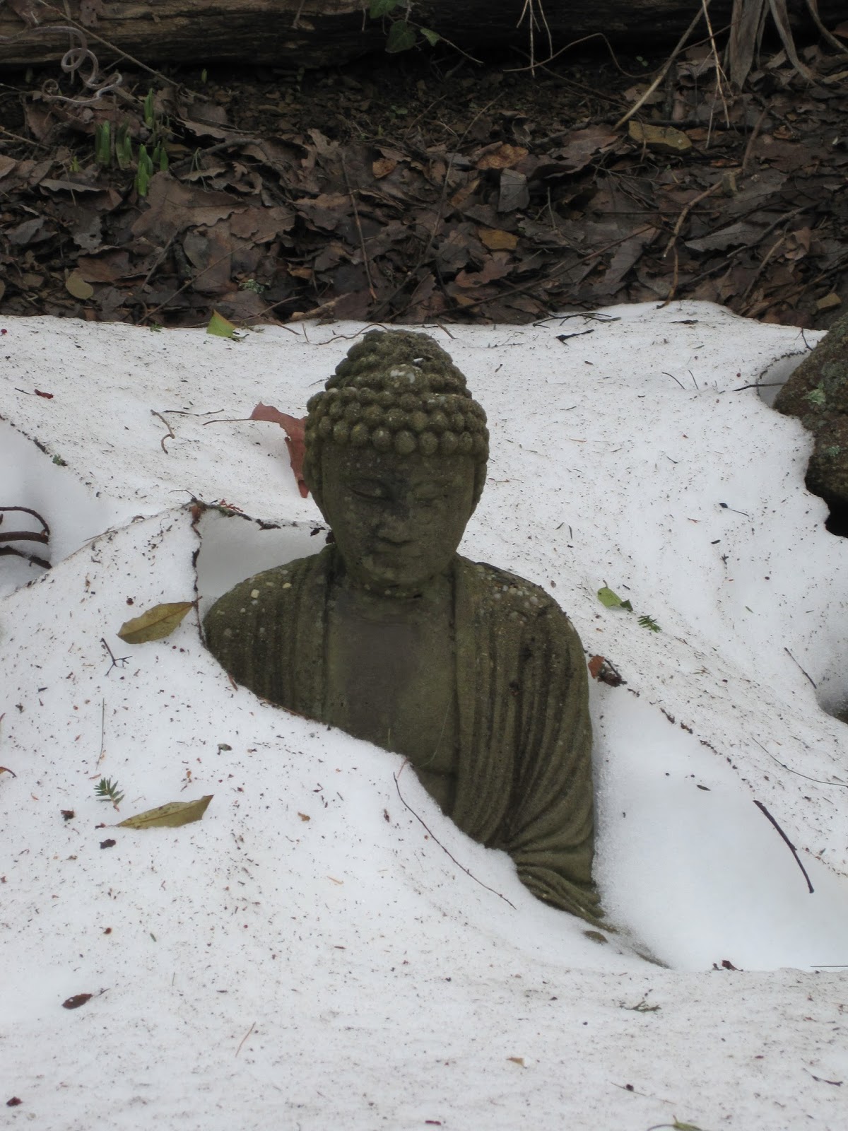 Buddha Quotes Online Lord Buddha Statue Image Buddha Murti