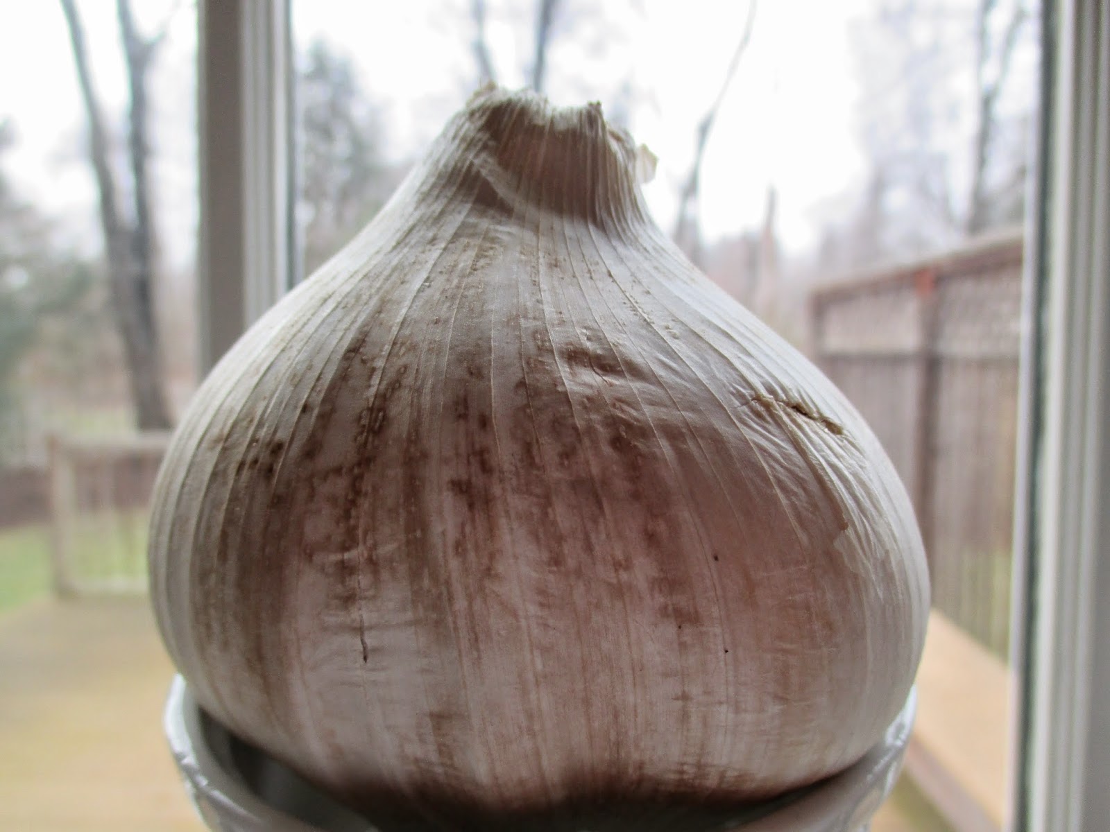 garlic bulb