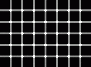 Hitung berapa titik hitam di gambar di bawah ini.