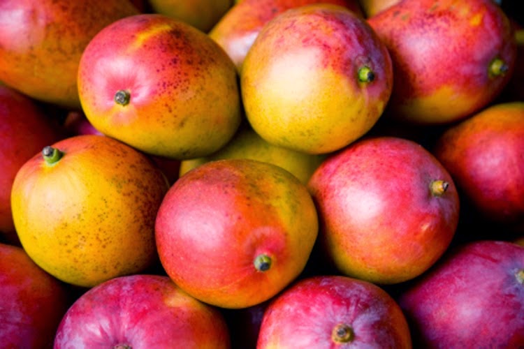 Español AP / Lengua y cultura Lluvia de mangos en Miami