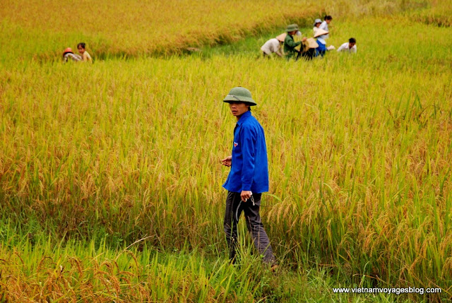 Visite du village Tay à Lao Cai - Photo An Bui
