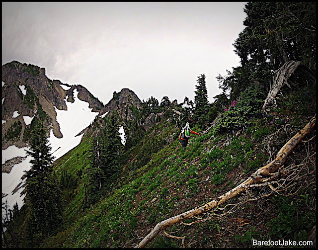 col above mud lake mount appleton mount appleton