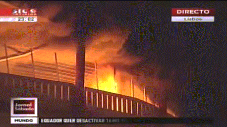 Lampionices/Toupeirices - Parte 8 - #3819 por Le_On - Assuntos Desportivos Gerais e de Outros Clubes - FórumSCP