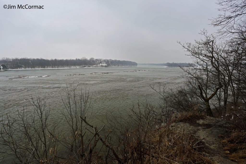 Ohio Birds and Biodiversity The Maumee River Rapids