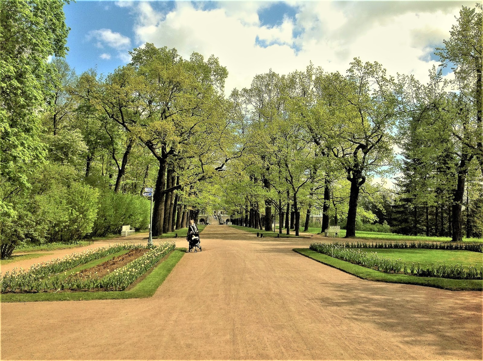 парк дубовая роща