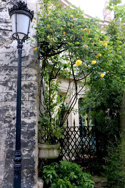 Yellow blooming flowers on private Avenue Frochot in Paris