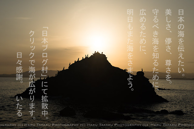 http://marine.blogmura.com/diving/