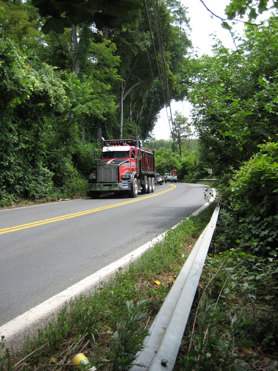 Norbeck Road Two people spotted walking on Norbeck Road