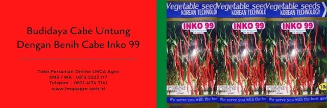 cabe inko 99,benih cabe inko 99,budidaya cabe,tanaman cabe,benih cabe,bibit cabe,lmga agro