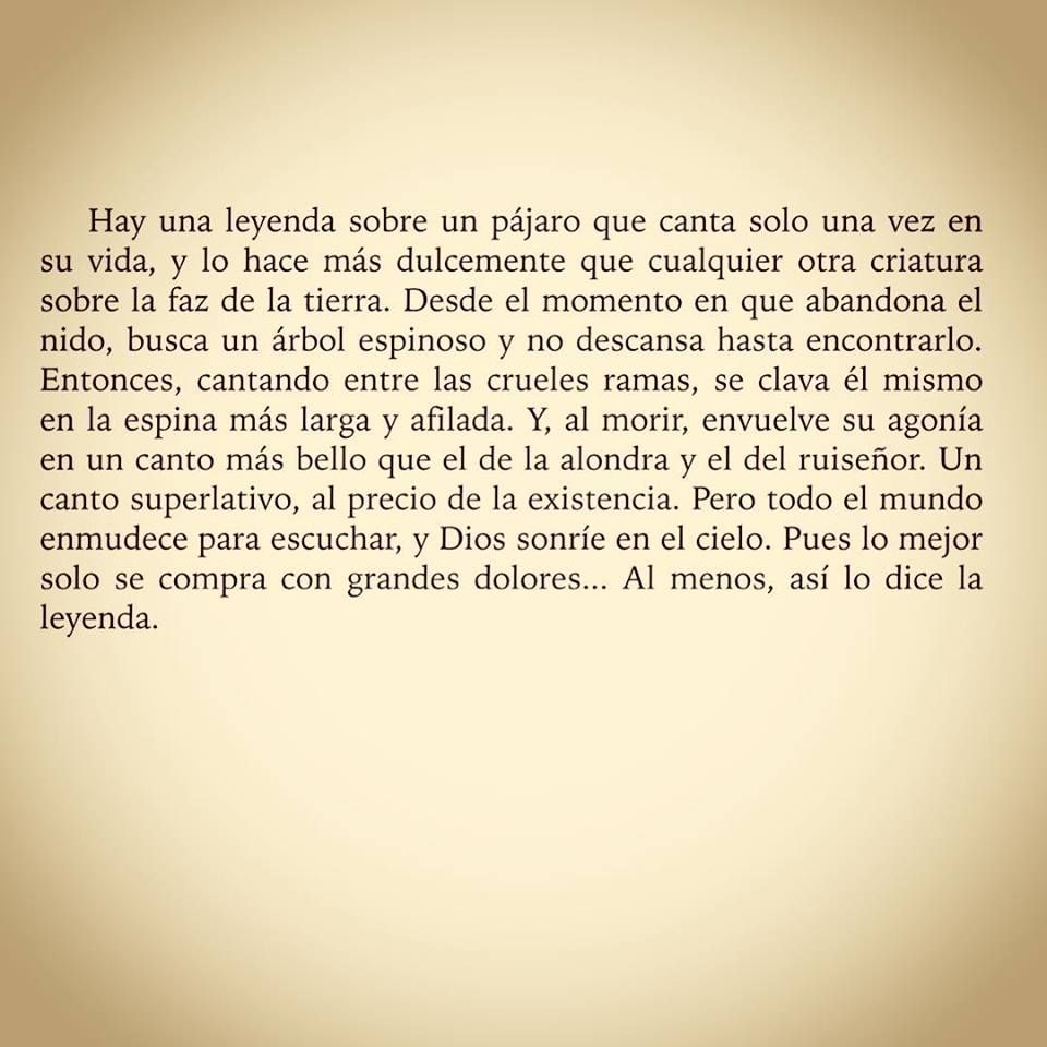 La Morada Del Buho Lector Entre El Amor Y La Vocacion