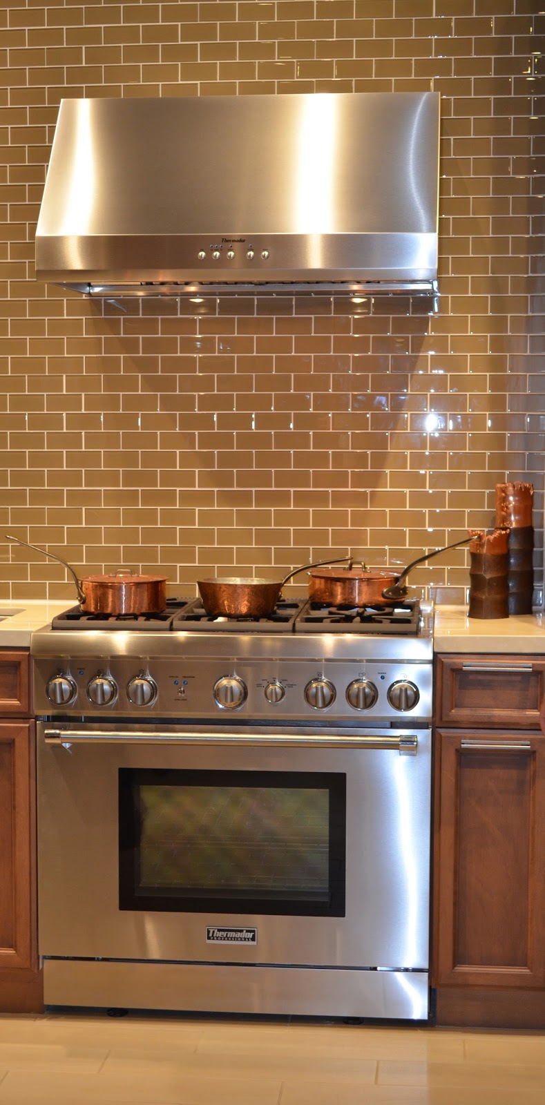 Lisa Mende Design I think I'm In Love....With Thermador!