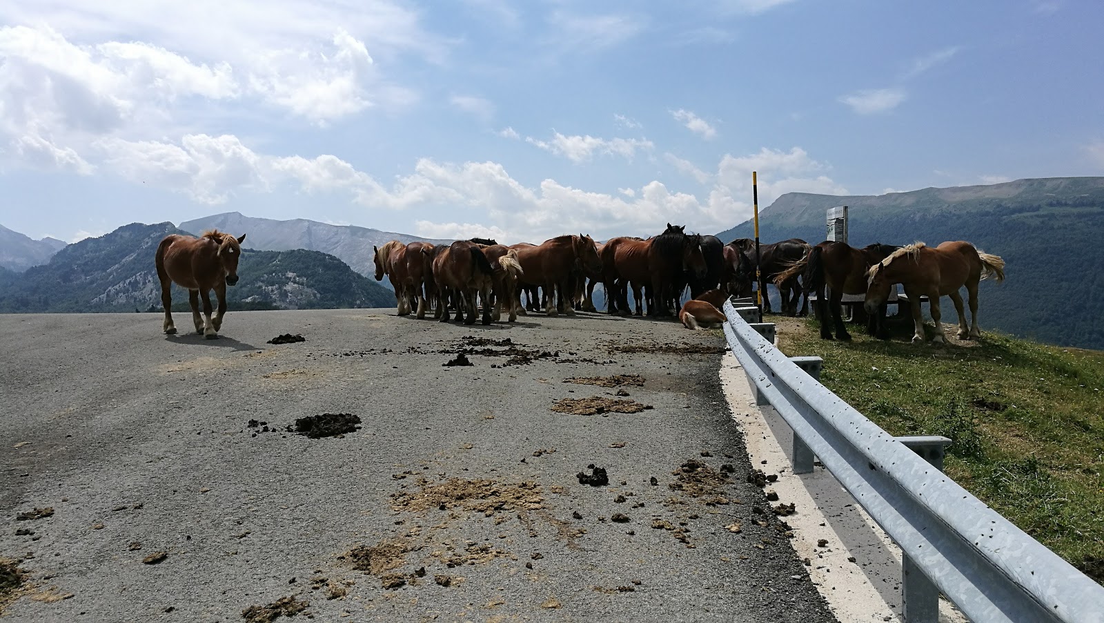 CRÓNICA PIRINEO NAVARRO IMG_20170624_115725