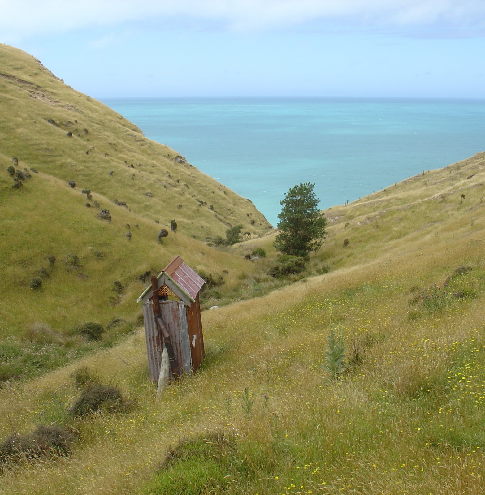 pukawaparadise Banks Peninsula Walk and Hinewai