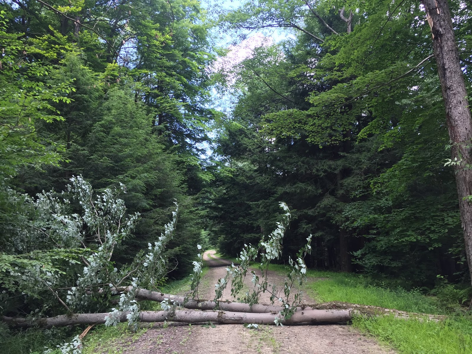 The Allegheny Journal A Backwoods Adventure Guide Salmon Creek, The