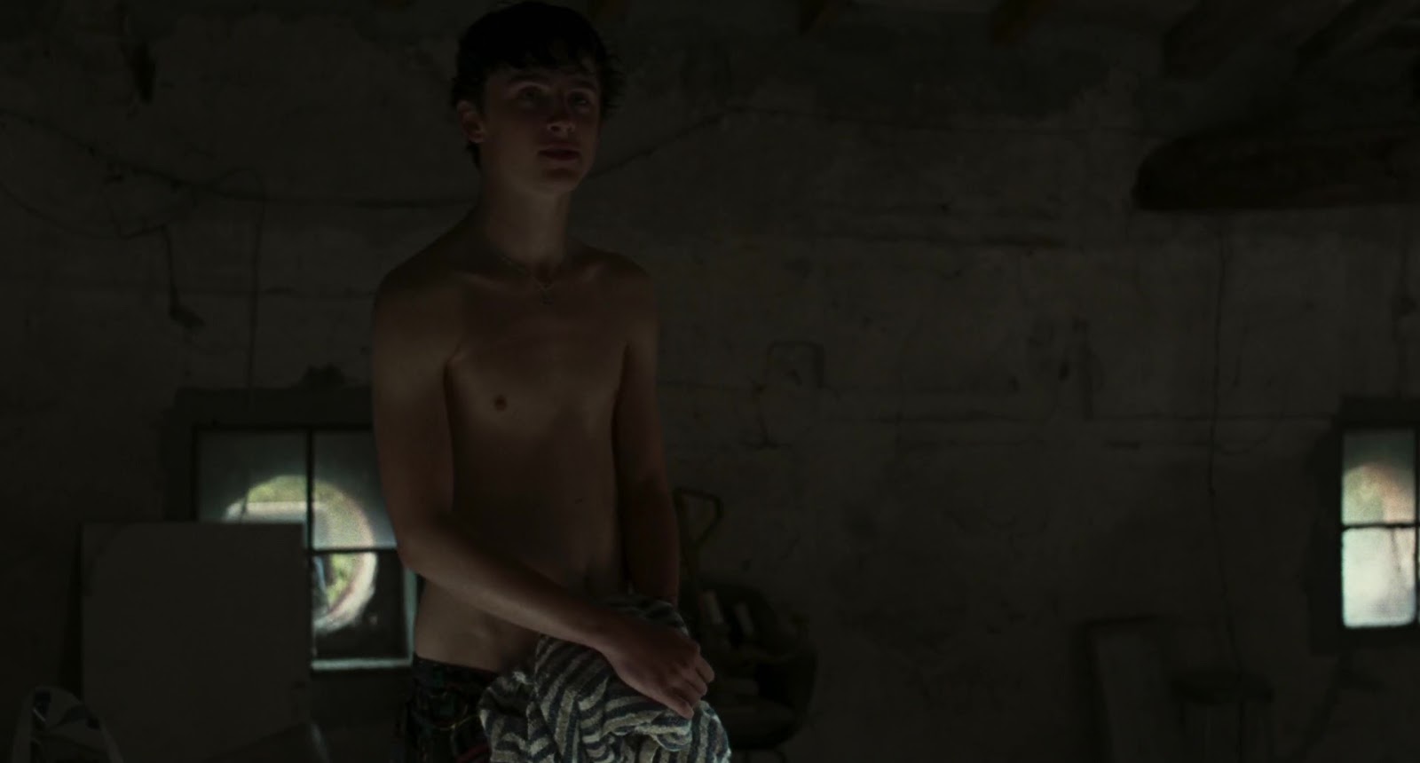 Timothée Chalamet shirtless in Call Me By Your Name.