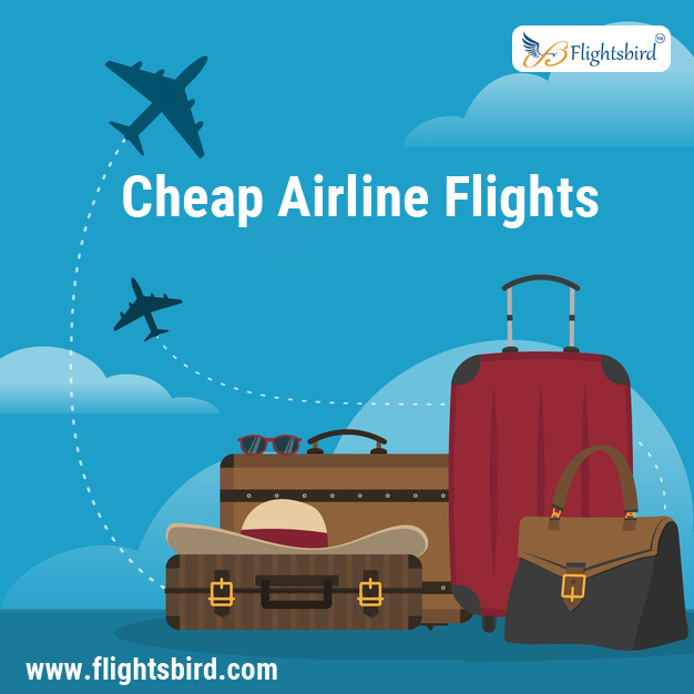 Top Cheap Flight Booking Sites that Saves You Money