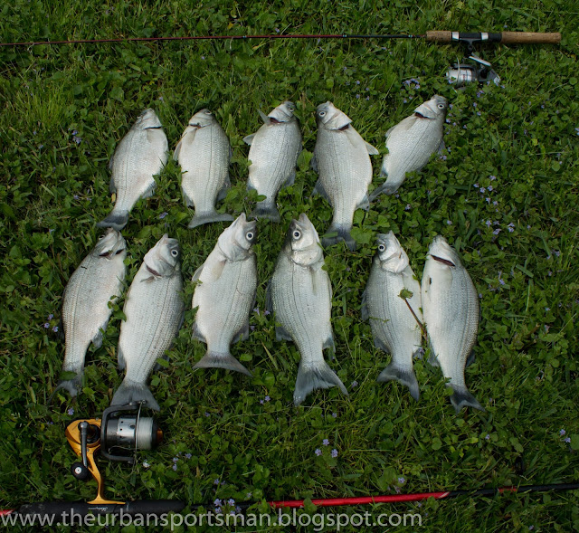 The Urban Sportsman Beautiful Day for Silver Bass