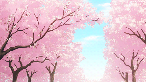 sakura trees gif, cherry blossom trees moving image