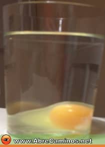 Limpia de Huevo normal