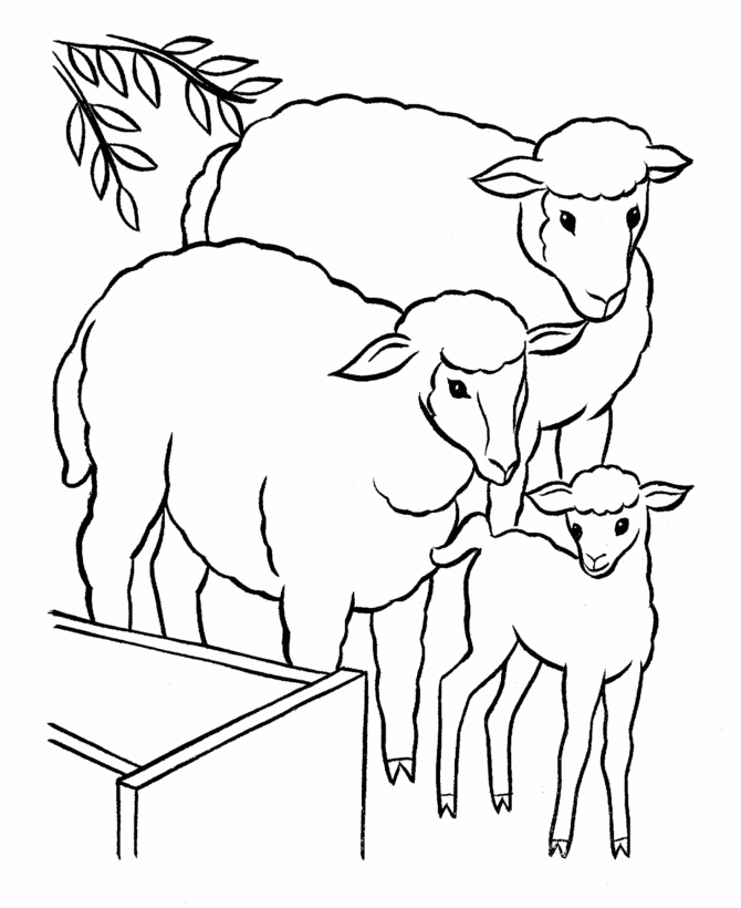 Download Free Sheep Coloring Pages Books for Education