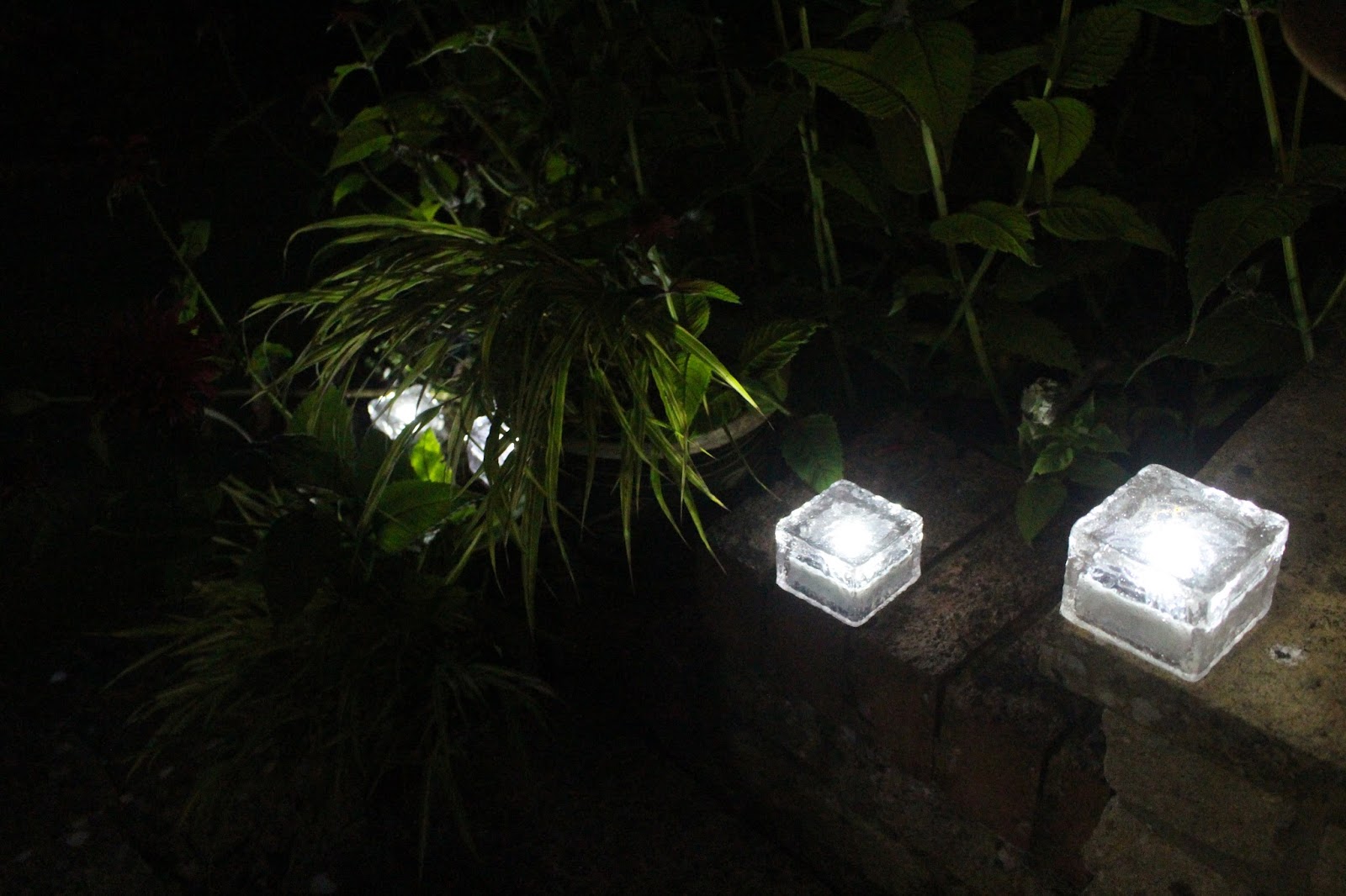 Product Review: Solar Lights