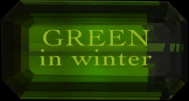 Green in Winter Green in Winter title image
