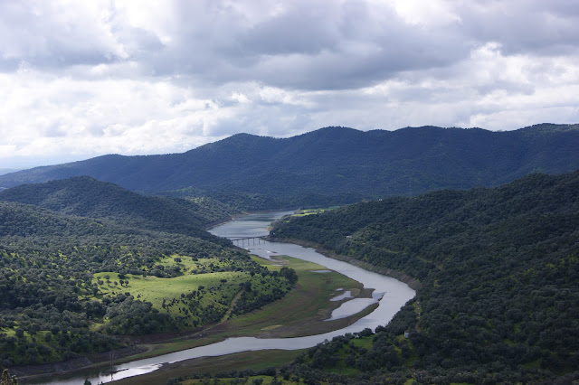 Meandro del Río Guadalmellato y zona de caza del Águila Imperial y Culebrera .