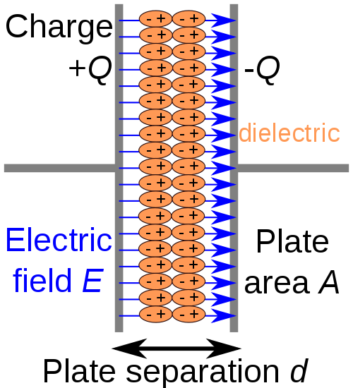 조금은 느리게 살자 커패시터(Capacitor)