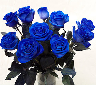 Hoa hồng xanh đẹp nhất, hoa hong xanh
