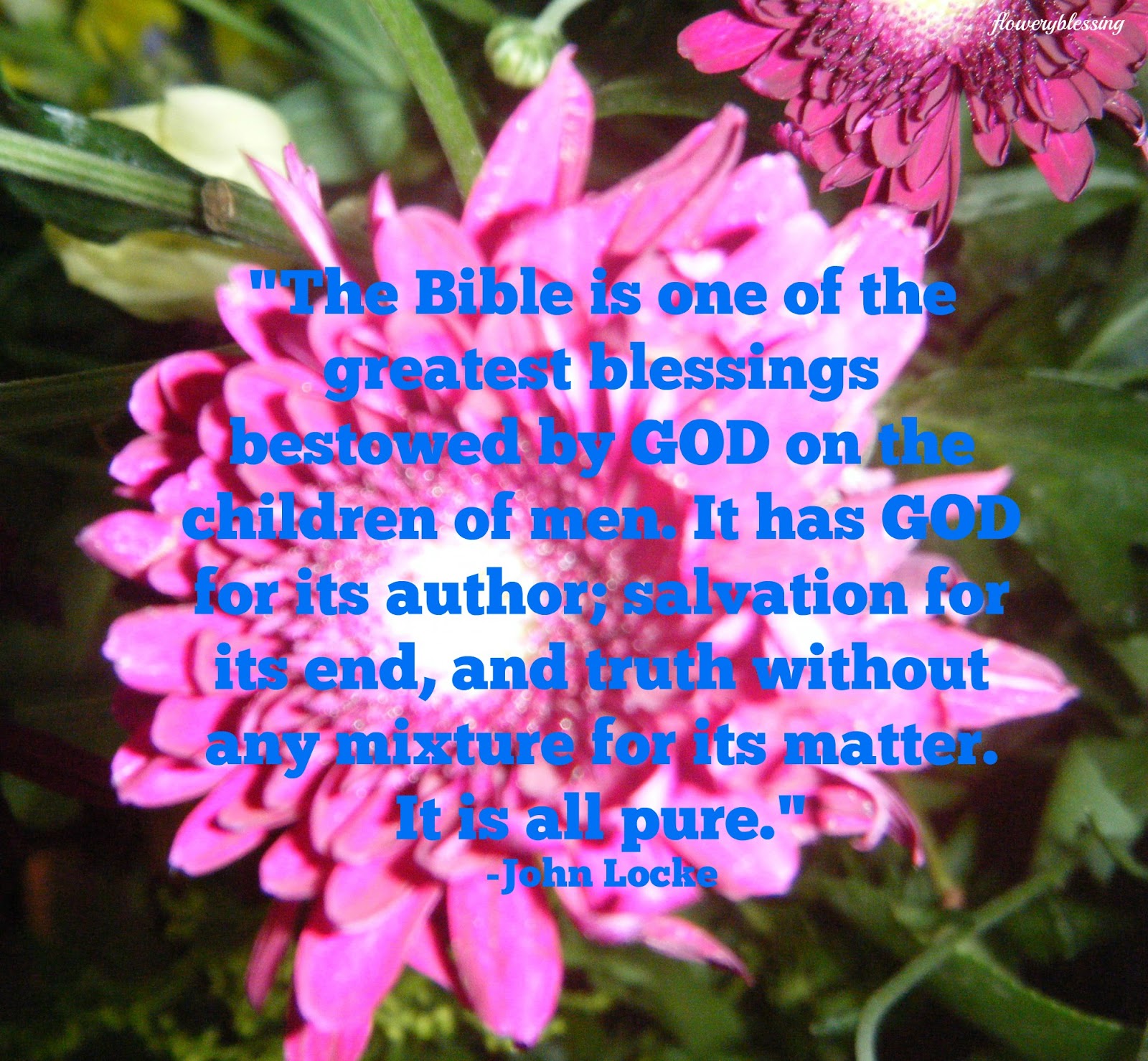 Flowery Blessing "The Bible is one of the greatest blessings bestowed