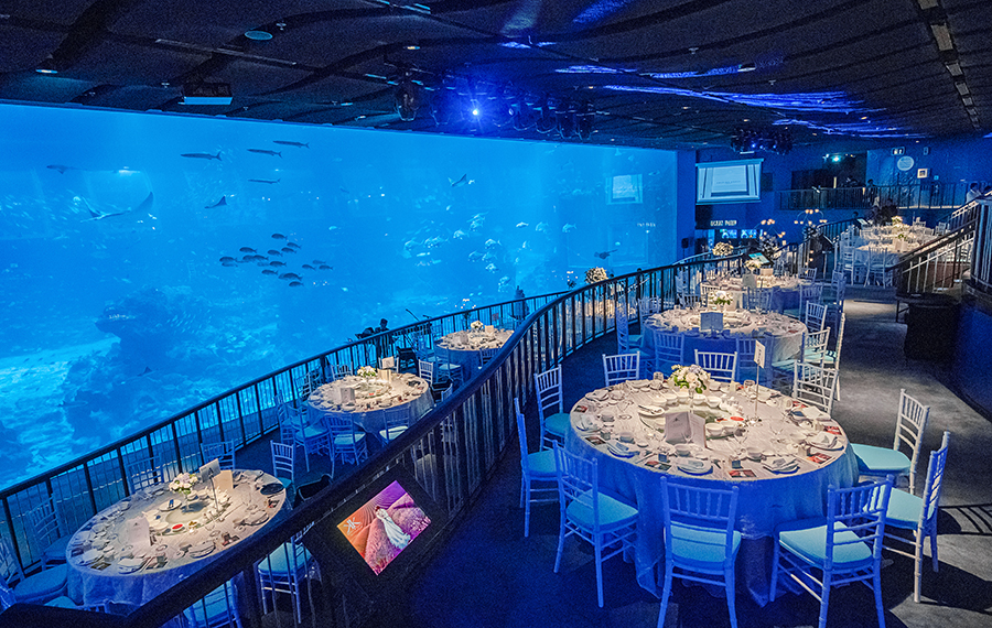 Сайт ресторана океан. Under the Sea ресторан СПБ. Сингапур ресторан с аквариумом. Ресторан Ocean в Сингапуре. Кафе океан Австралия.