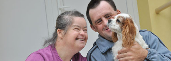 Can Dogs Have Mental Disabilities Can Dogs Have Mental Disabilities