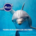 Tours buscando los delfines sábado 24 de noviembre 2018