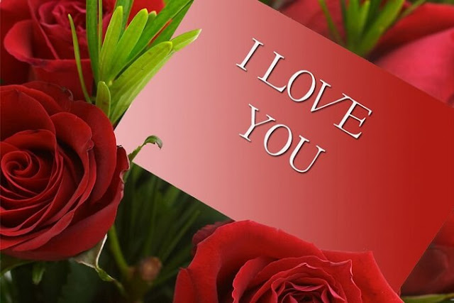 i love u valentines day 2017 quotes i love u valentines day 2017 quotes
