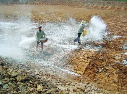 cach-su-dung-trong-nuoi-tom-1.jpg cach-su-dung-trong-nuoi-tom-1.jpg